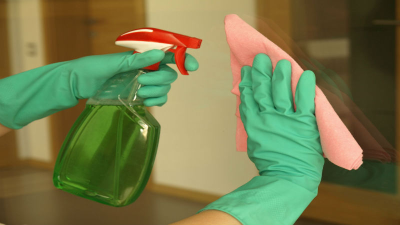 Elevating Home Maintenance: Expert Home Cleaning in Eagle, ID