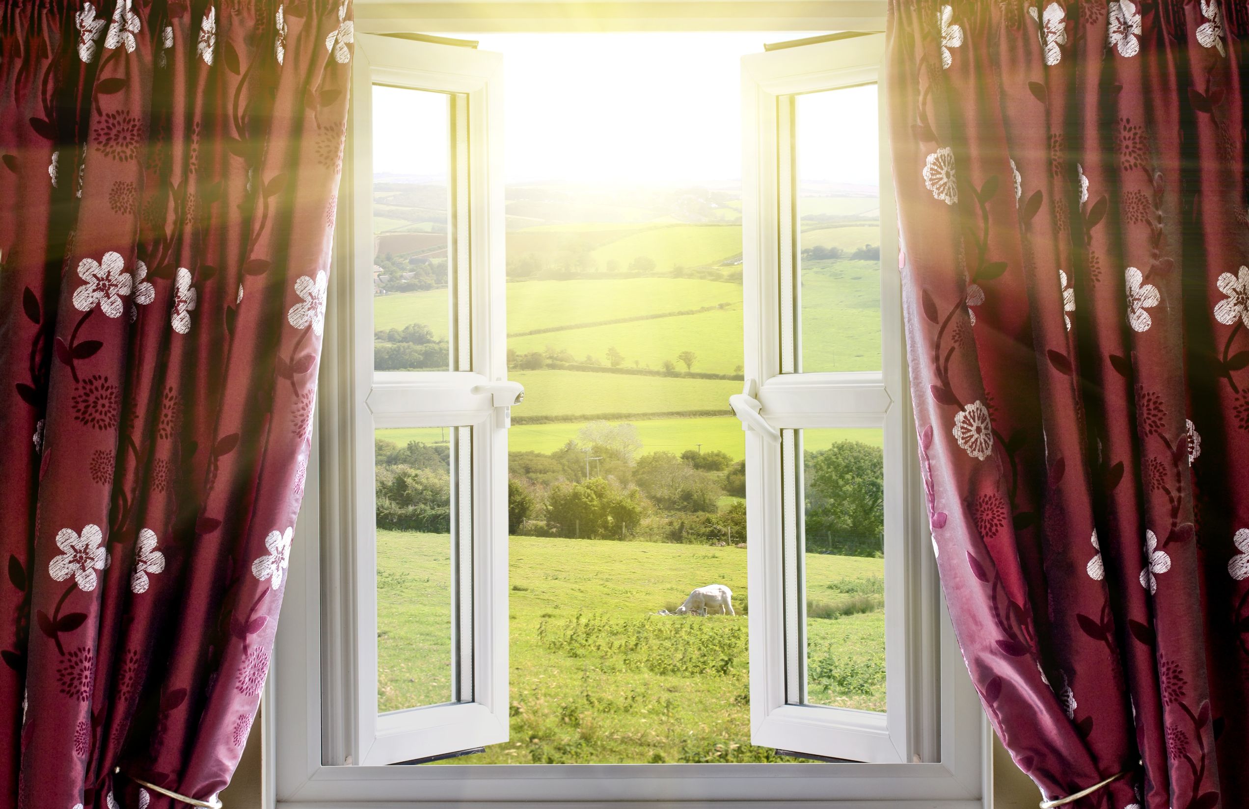 Things to Consider When You Are Purchasing New Windows in Charlotte, NC