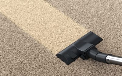 Restore Vibrancy to Your Floors Using Area Rug Cleaning Near Beloit WI services