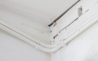 Essential Steps for Efficient Water Damage Cleanup Nassau County NY Residents Should Know