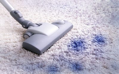 Understanding Professional Standards Among Carpet Cleaners Near Beloit, WI