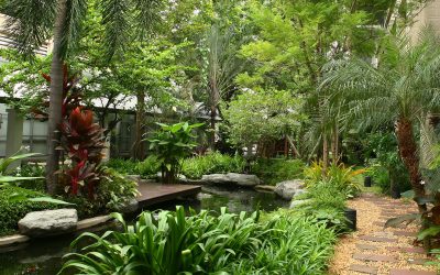 Learn Why Homeowners Trust Tree Service Orange City, FL for Safe Tree Removal