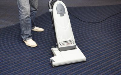 What Makes the Best Carpet Cleaning Service in Madison, WI, Worth Your Time