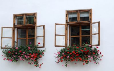 Reasons Homeowners Prefer Wood Windows In San Francisco CA For Lasting Curb Appeal