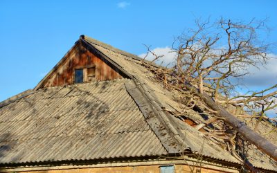 The Essential Guide to Hiring a Damage Restoration Company in Bellevue, WA for Water Damage