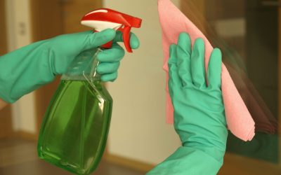 The Best Professional Carpet Cleaning Techniques