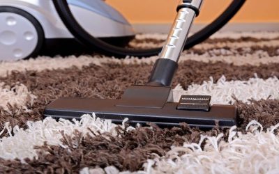 A Practical Guide to Choosing Professional Mold Testing Near Madison, WI